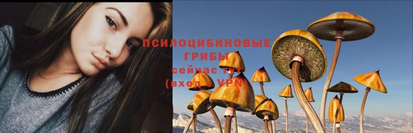 молекула духа Куйбышев