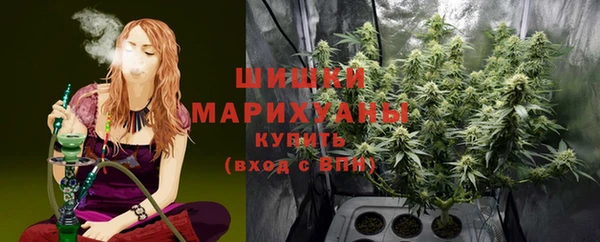 бошки Краснослободск
