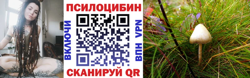 Галлюциногенные грибы Psilocybine cubensis  Лабытнанги 