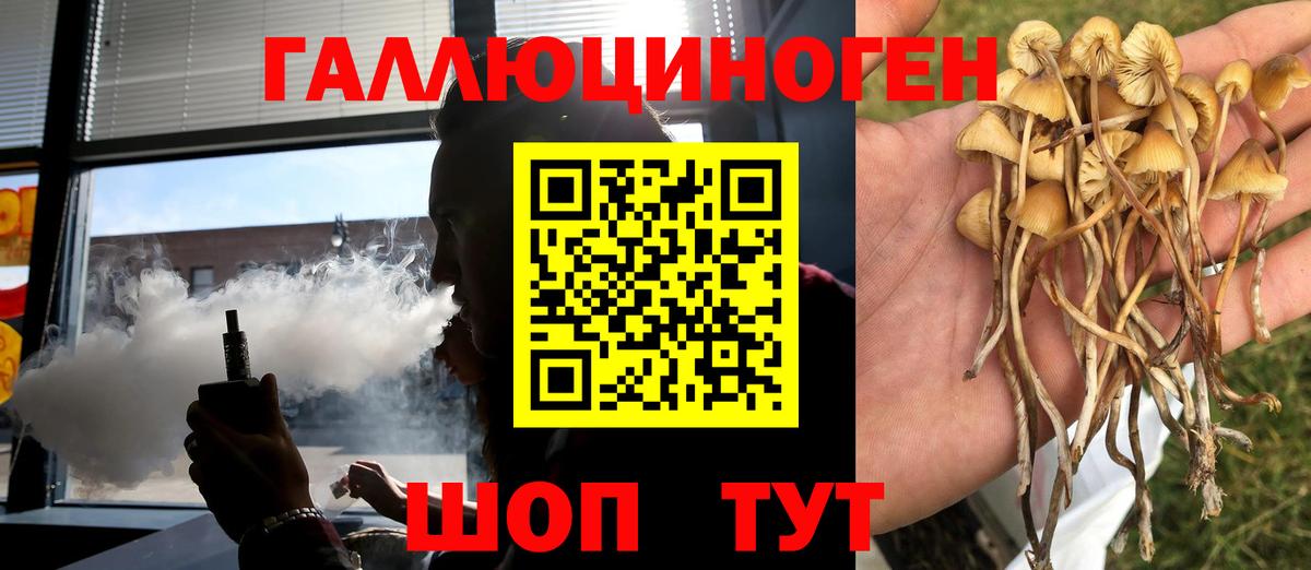Лабытнанги  Псилоцибиновые грибы GOLDEN TEACHER  Вход с VPN 